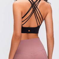 Molly Bra